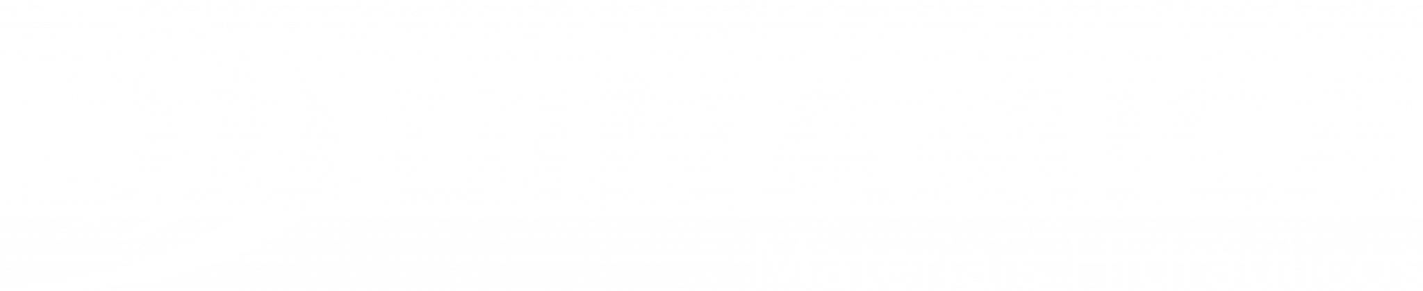 Logo Dinamica Branco